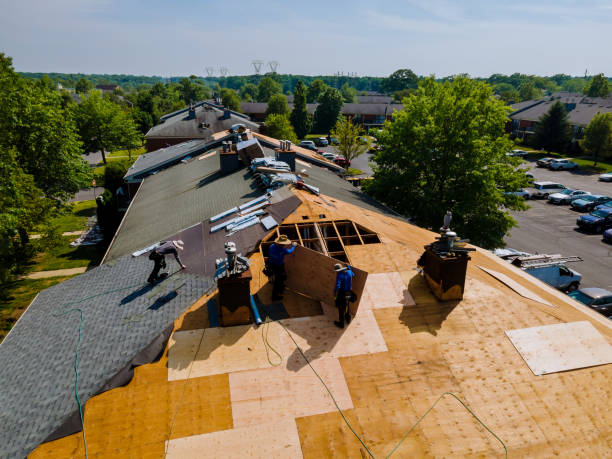 Trusted Roof Replacement service in Jacksonboro, SC - Brentwood Metal Roofing